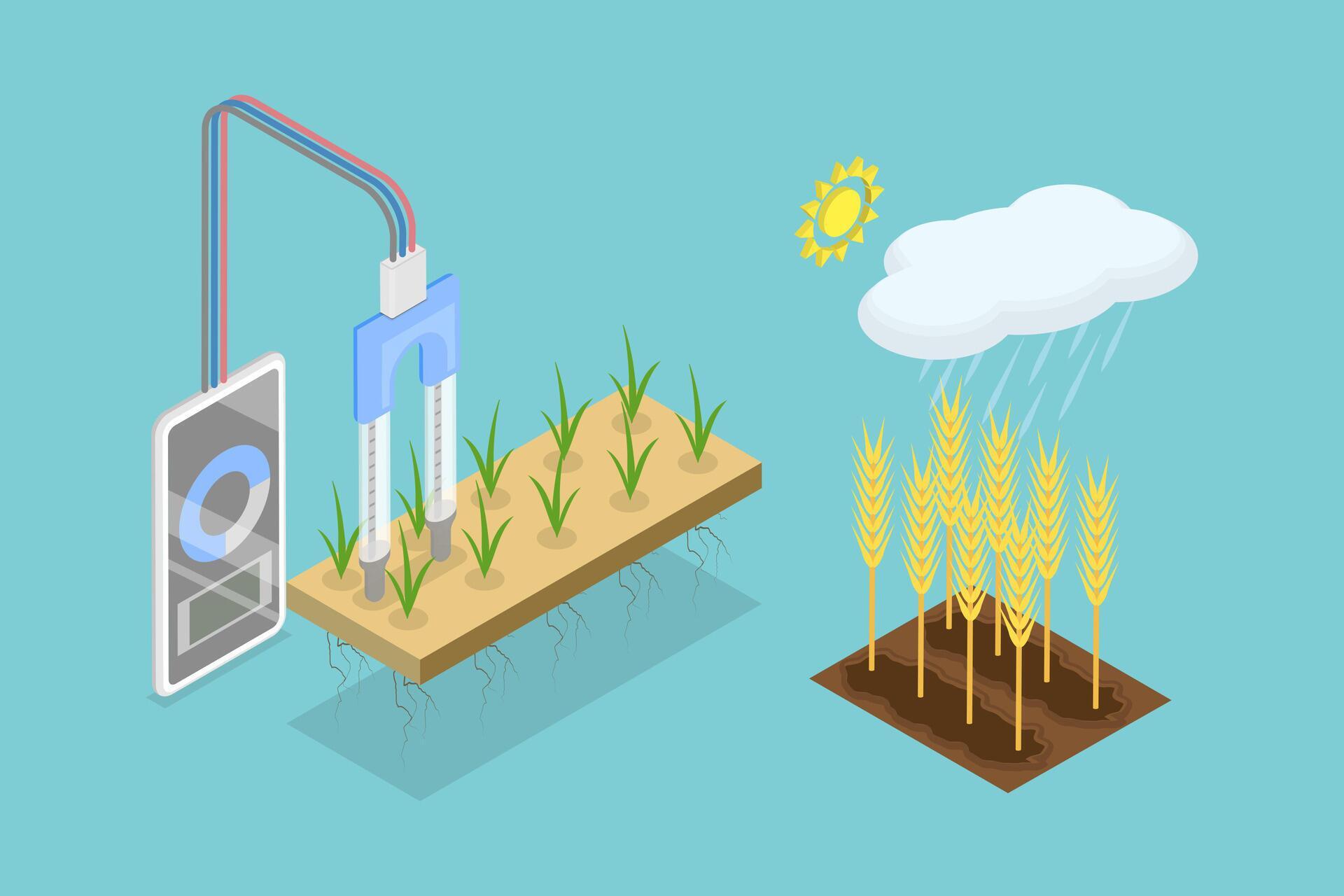Smart Agriculture Illustration